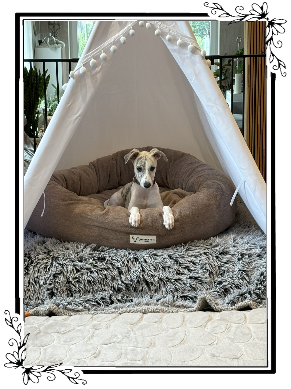 Rahmen Tipi Luna