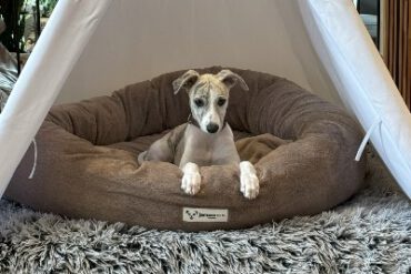 Tipi Relax Luana